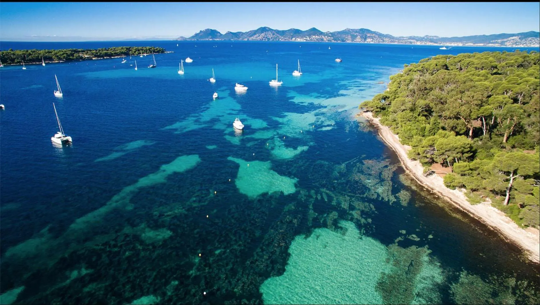 Le Bristol Apartment Cannes France